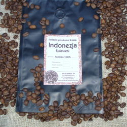 Indonezja Sulawesi Tana Torajai grade 1