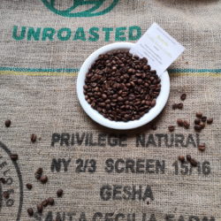 Brazylia Gesha  – Santa Cecilia Farm